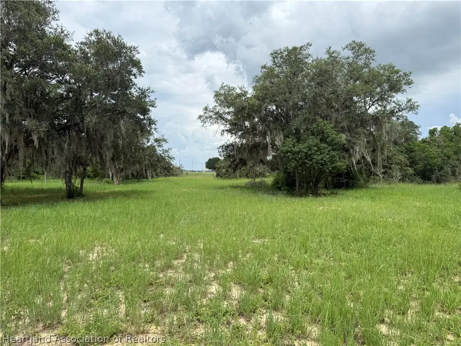 142 E Raymond Street, Avon Park, FL 33825 - #3