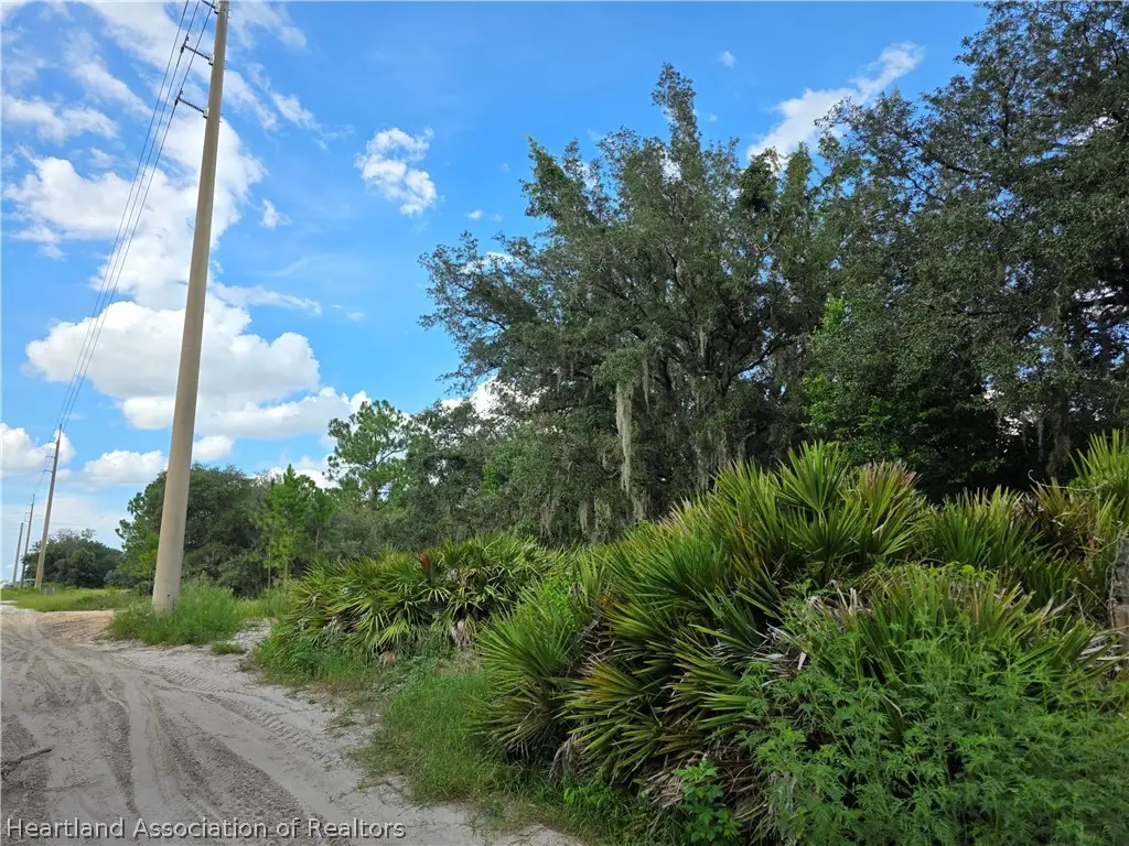 2379 W Perry Road, Avon Park, FL 33825 - #1