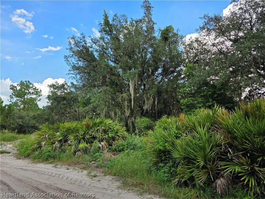 2379 W Perry Road, Avon Park, FL 33825 - #2