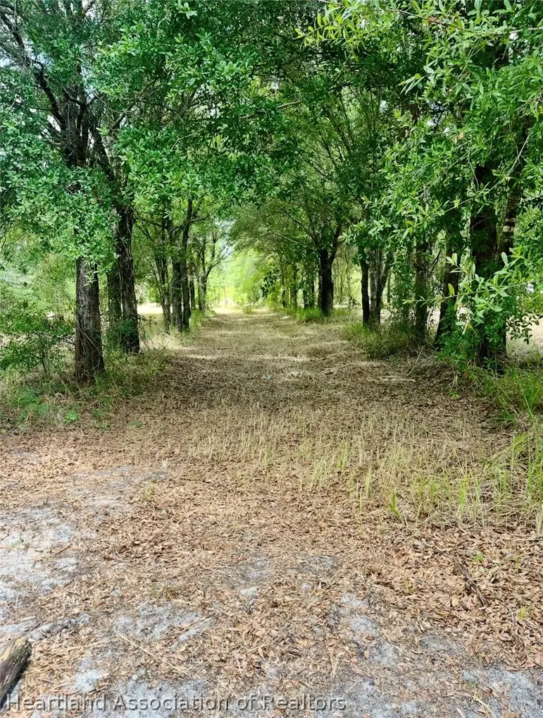 1298 Old Bradenton Road, Wauchula, FL 33873 - #3