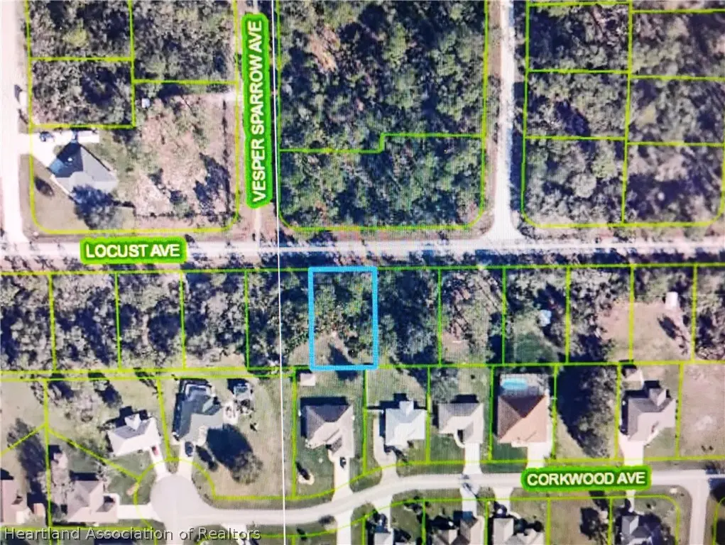 3158 Locust Avenue, Lake Placid, FL 33852 - #1