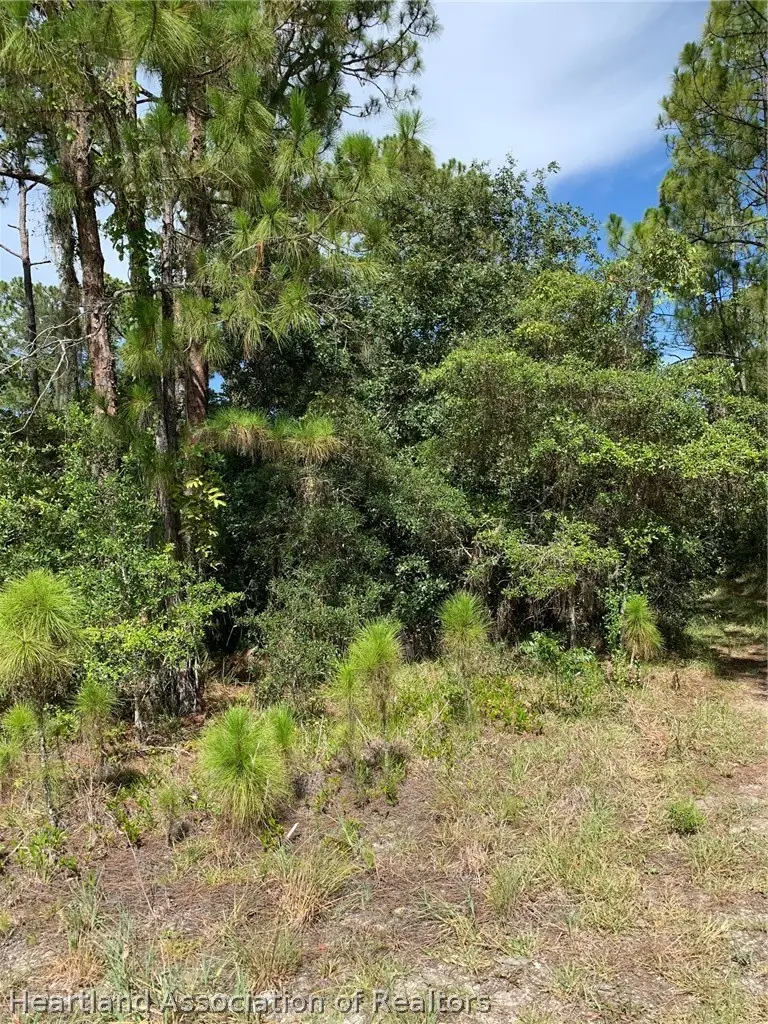379 Imagination Drive, Lake Placid, FL 33852 - #1