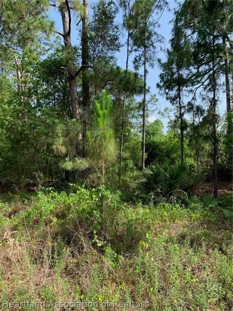 10828 Bending Oak Drive, Sebring, FL 33875 - #1