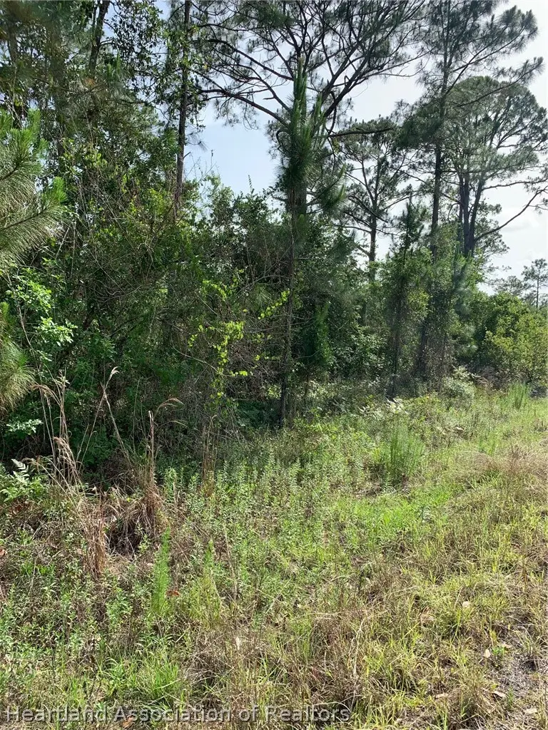 10828 Bending Oak Drive, Sebring, FL 33875 - #2
