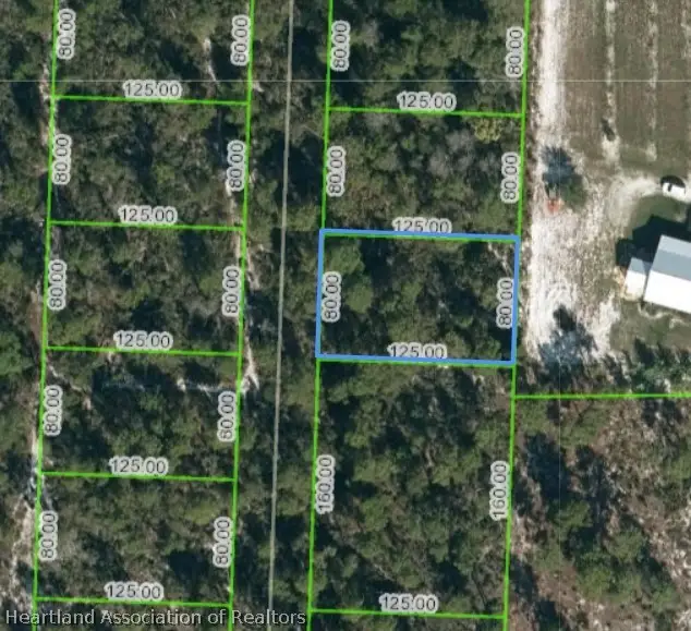10828 Bending Oak Drive, Sebring, FL 33875 - #3