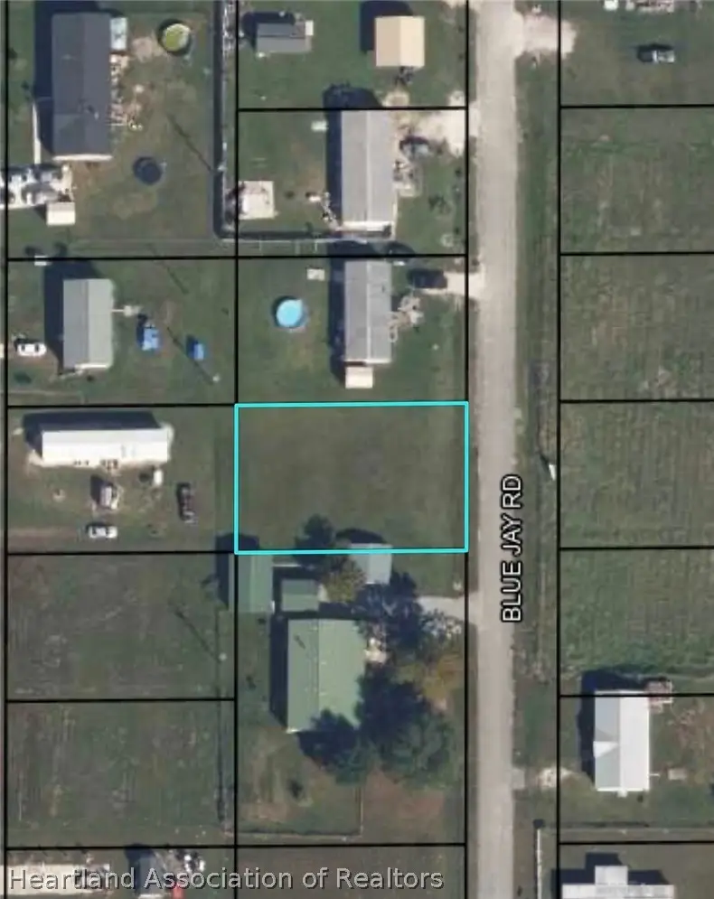 1305 Blue Jay Road, Wauchula, FL 33873 - #3