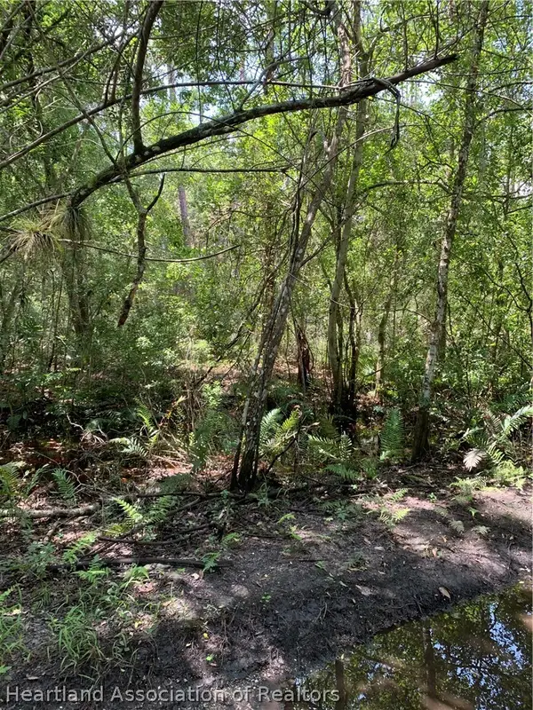 7001 Aster Place, Sebring, FL 33875