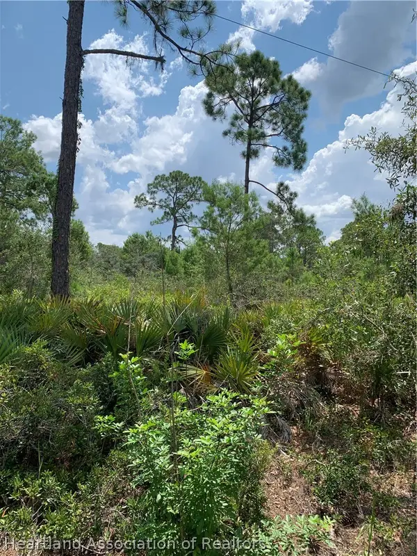 7110 Tulip Place, Sebring, FL 33875