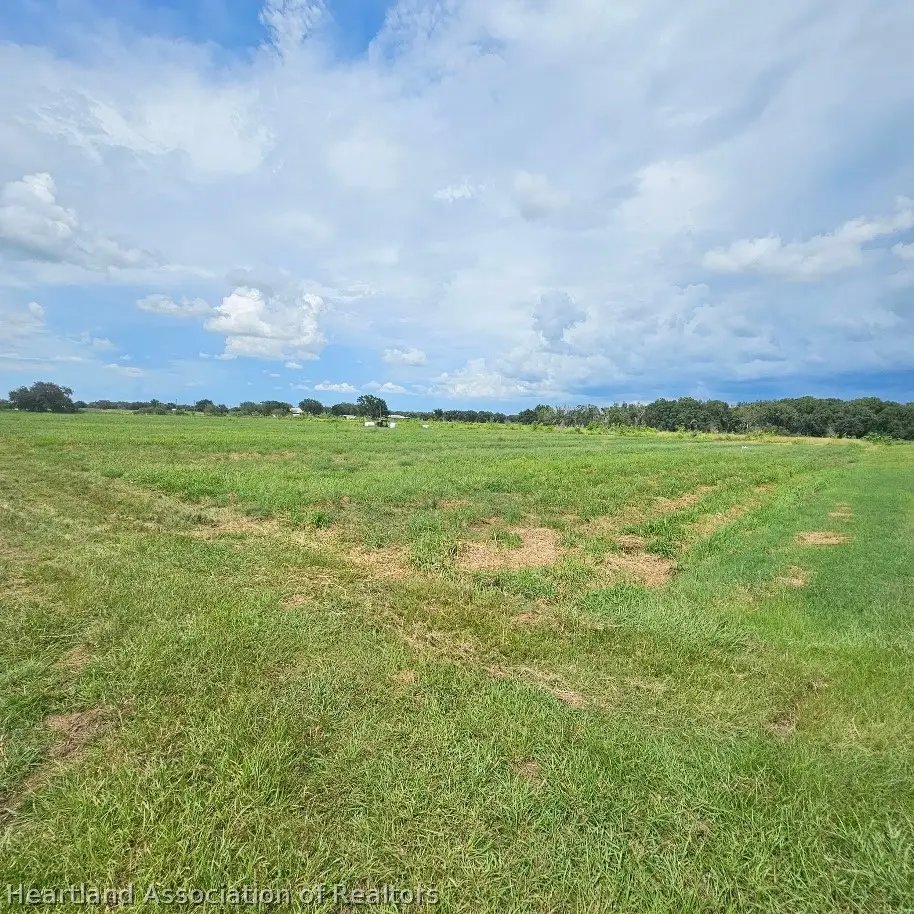 0 Mineral Branch Road, Zolfo Springs, FL 33890 - #1