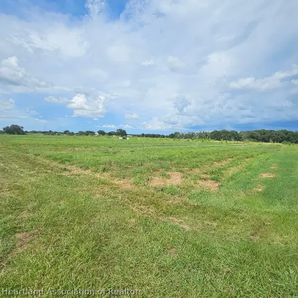 0 Mineral Branch Road, Zolfo Springs, FL 33890