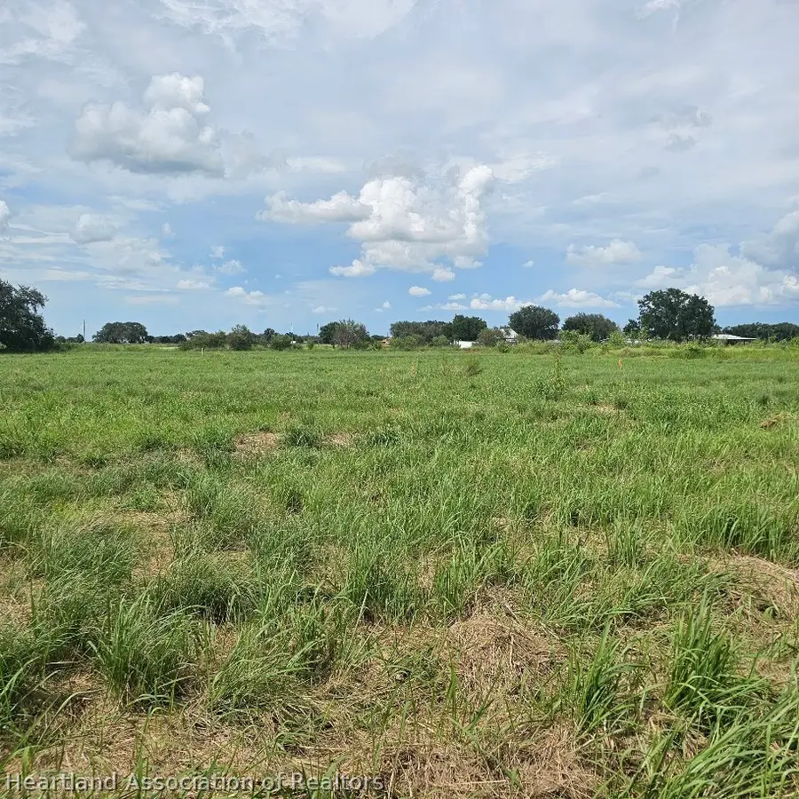 0 Mineral Branch Road, Zolfo Springs, FL 33890 - #2