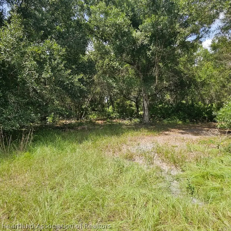 1985 Fish Branch Road, Zolfo Springs, FL 33890 - #3