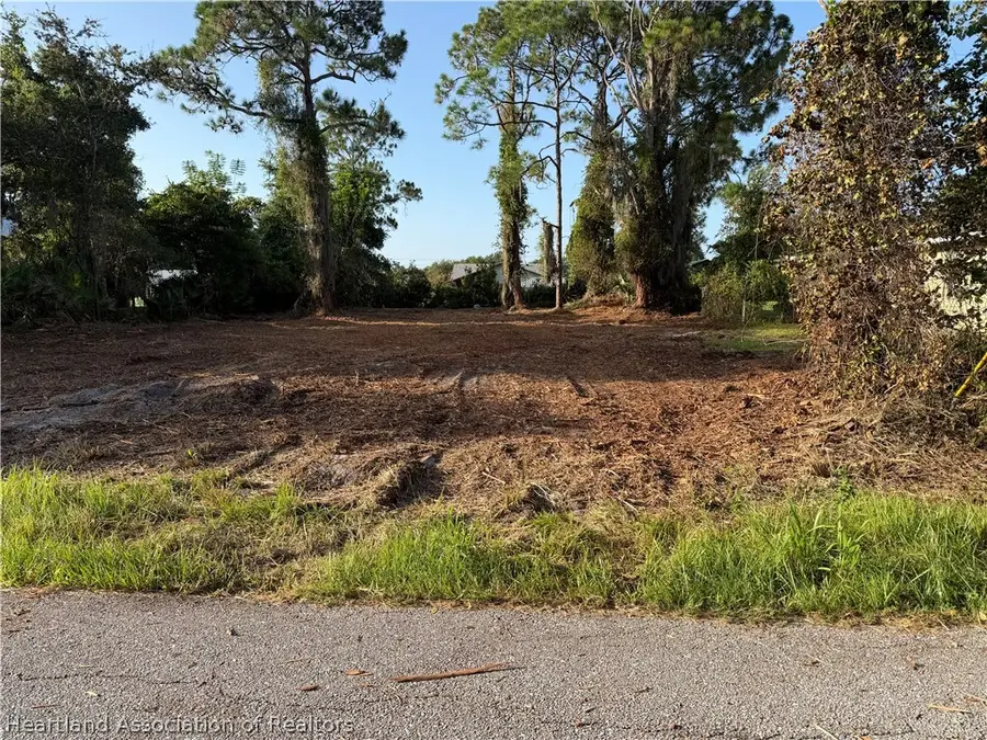 3026 Beech Street, Lake Placid, FL 33852 - #3