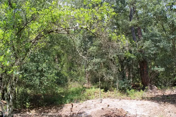 1217 Iris Avenue, Sebring, FL 33875