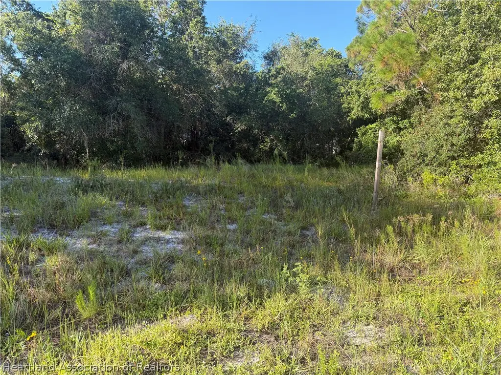 3146 Miller Avenue, Lake Placid, FL 33852 - #1
