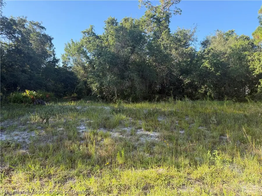 3146 Miller Avenue, Lake Placid, FL 33852 - #3