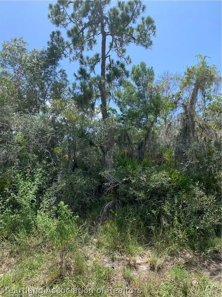 9418 S Orange Blossom Boulevard, Sebring, FL 33875 - #1