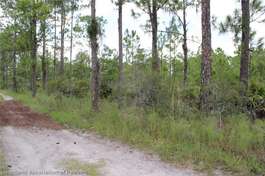 1714 Oleaster Avenue, Sebring, FL 33875 - #3