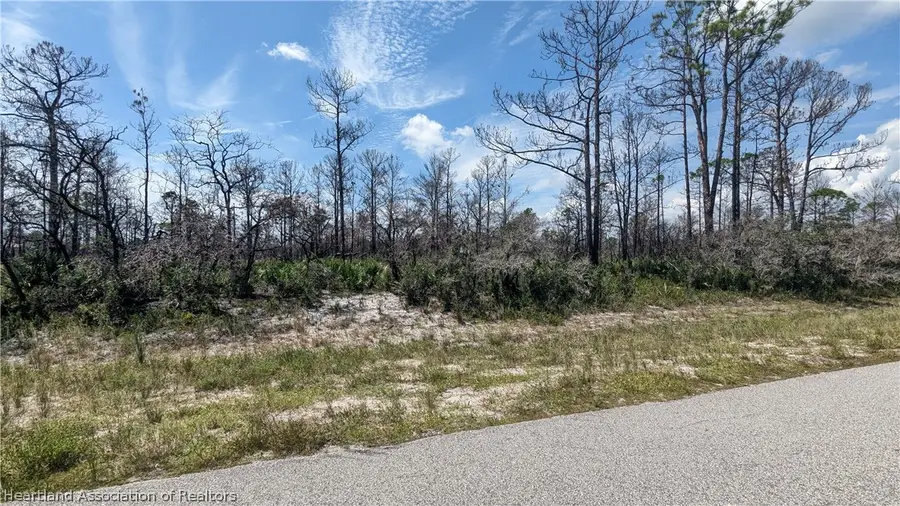 3440 Bluebird Avenue, Lake Placid, FL 33852 - #2