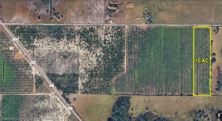 Goose Pond Road, Ona, FL 33865 - #3
