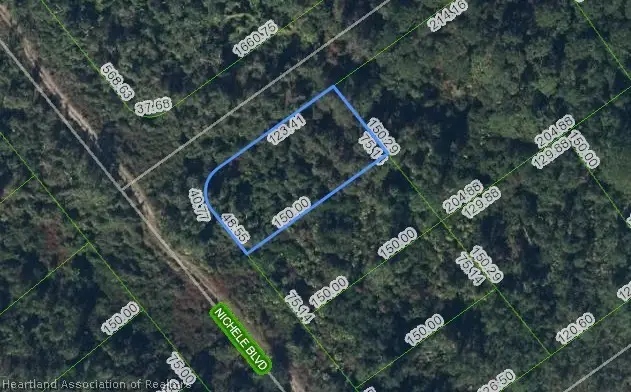 457 Nichele Boulevard, Lake Placid, FL 33852 - #1