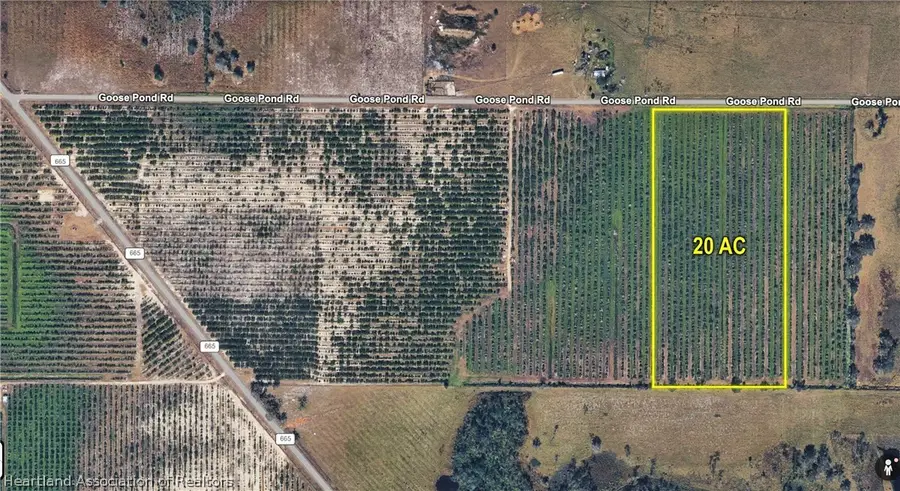 Goose Pond Road, Ona, FL 33865 - #2