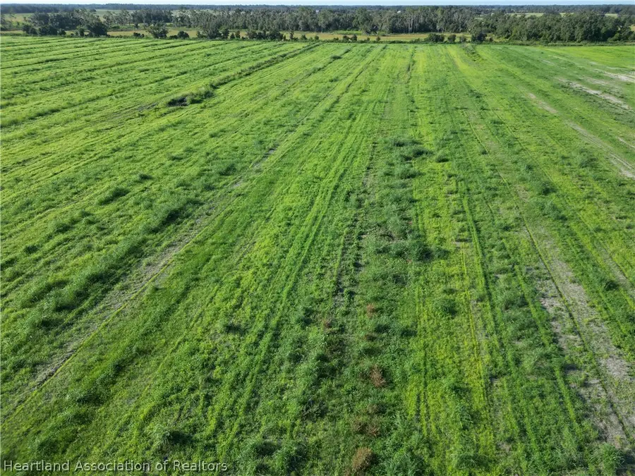 Goose Pond Road, Ona, FL 33865 - #3