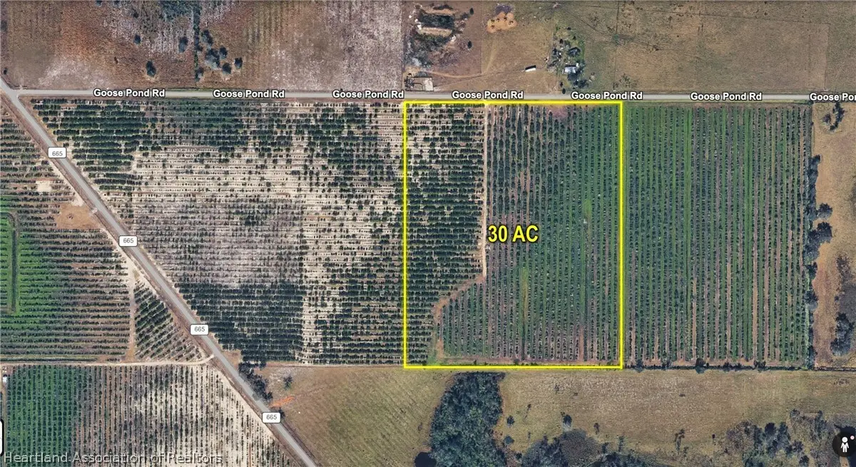 Goose Pond Road, Ona, FL 33865 - #1