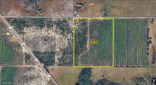Goose Pond Road, Ona, FL 33865