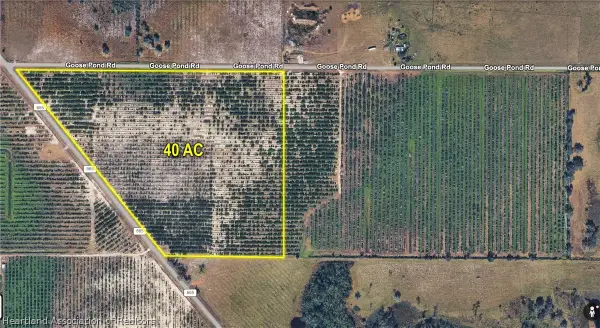 Goose Pond Road, Ona, FL 33865