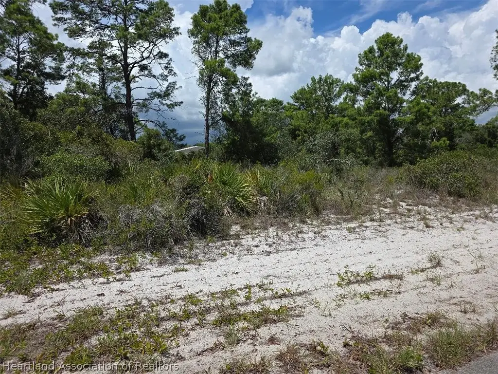 451 Hoover Avenue Ne, Lake Placid, FL 33852 - #1