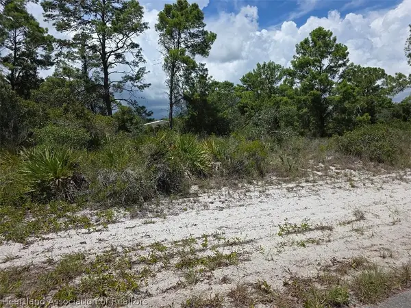 451 Hoover Avenue Ne, Lake Placid, FL 33852