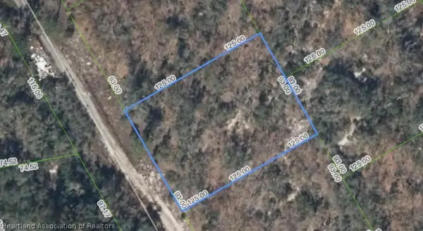 289 Blue Horizon Drive, Lake Placid, FL 33852