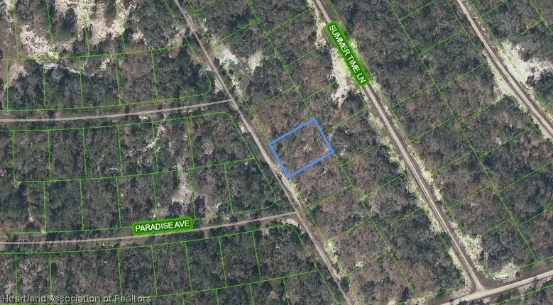 289 Blue Horizon Drive, Lake Placid, FL 33852 - #2