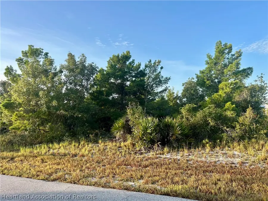 124 Loquat Road Nw, Lake Placid, FL 33852 - #3