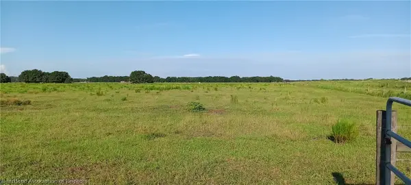 Rhynn Road, Wauchula, FL 33873
