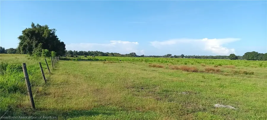 Rhynn Road, Wauchula, FL 33873 - #2