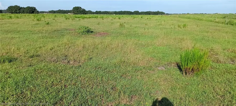Rhynn Road, Wauchula, FL 33873 - #3