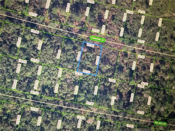 8603 Camarin Street, Sebring, FL 33872