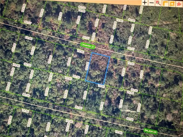 8549 Camarin Street, Sebring, FL 33872