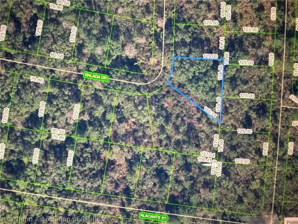 8417 Balada Drive, Sebring, FL 33872