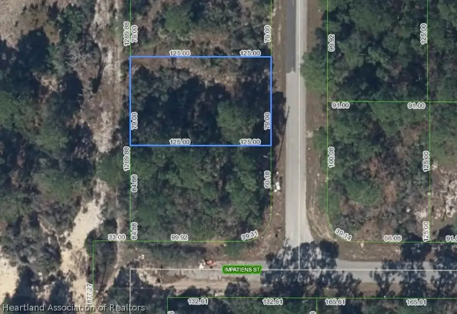 102 Sunnyside Drive, Lake Placid, FL 33852 - #2