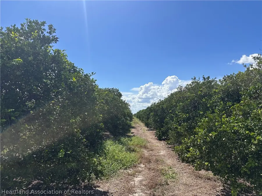 1055 Arbuckle Creek Road, Lorida, FL 33857 - #2