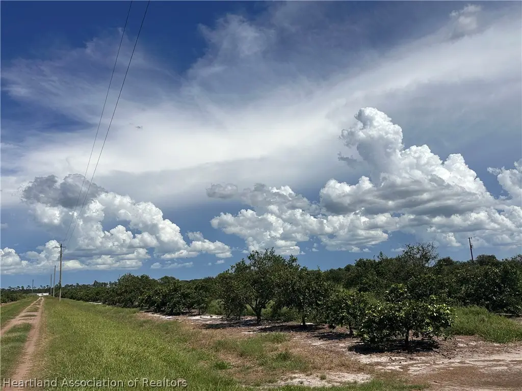 955 Arbuckle Creek Road, Lorida, FL 33857 - #1
