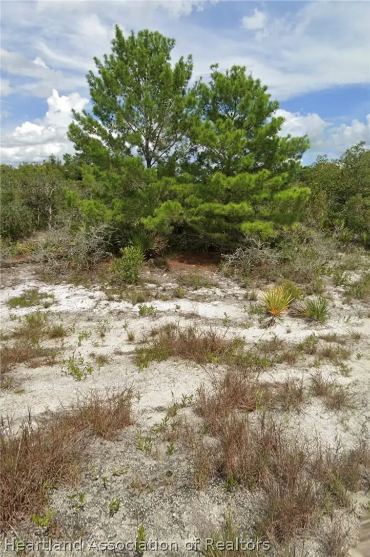 415 Durham Avenue, Lake Placid, FL 33852 - #1