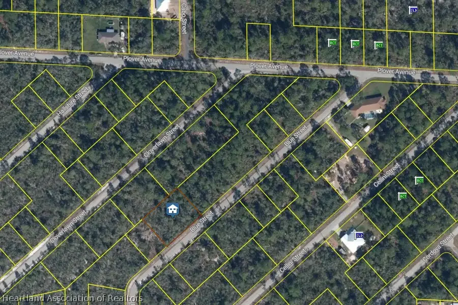 1048 Blue Street, Lake Placid, FL 33852 - #1