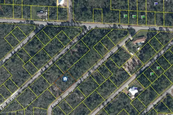 1048 Blue Street, Lake Placid, FL 33852