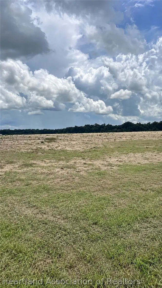 N Bailey Road, Wauchula, FL 33873 - #3