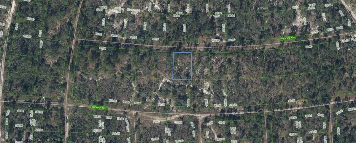 359 Paradise Avenue, Lake Placid, FL 33852 - #1