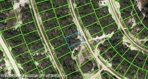 234 Rhythm Drive, Lake Placid, FL 33852